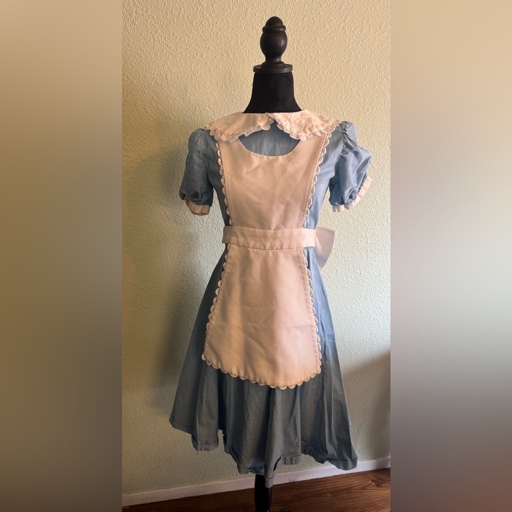 Vintage Alice in Wonderland Dress
